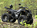 PROMAX 320 DOMINATOR (2025)